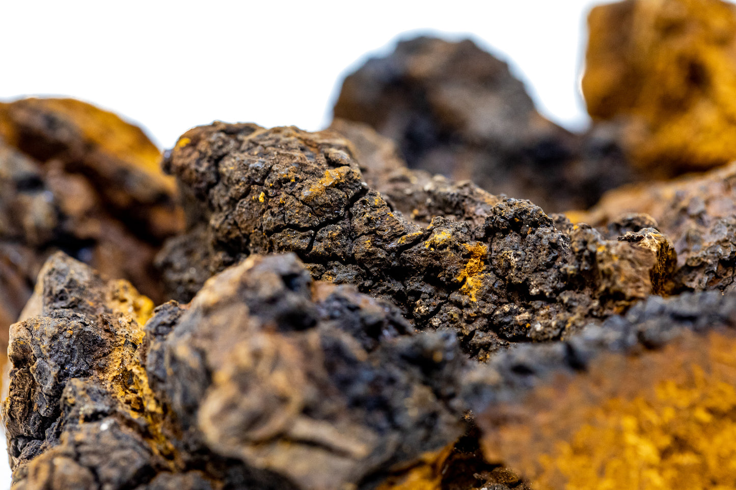 
                  
                    EMF PROTECTION  - image of a bunch of chaga in its raw form
                  
                